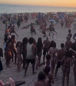 Falta de fiscalização transforma Praia dos Cavaleiros em palco de drogas e violência no início do verão