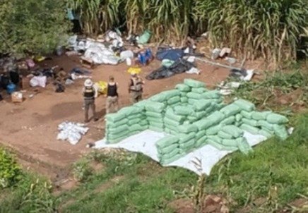 Operação Carcará: Polícia Federal apreende 2 toneladas de maconha na divisa entre Alagoas e Bahia